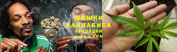 МДПВ Волоколамск