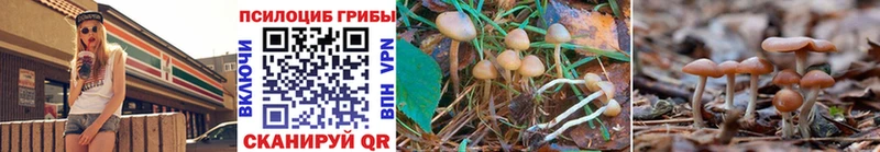 Псилоцибиновые грибы GOLDEN TEACHER  продажа наркотиков  Мезень 